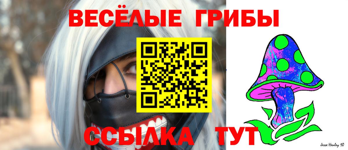 Псилоцибиновые грибы Psilocybe  Вход с VPN  Псилоцибиновые грибы MAGIC MUSHROOMS  Тихорецк 